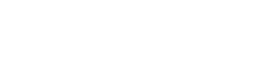 案件详情查询